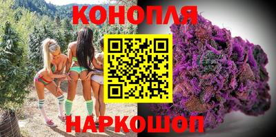 сатива Ставрополь
